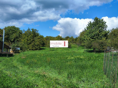 Vand teren | 4400 mp | Dambu Rotund 